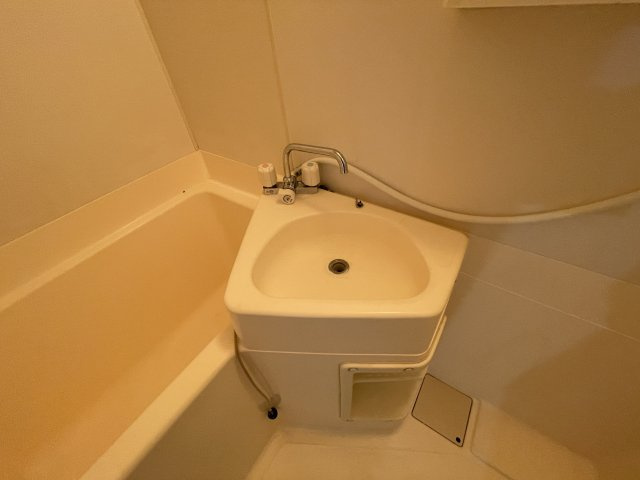 岬サンライズの洗面所