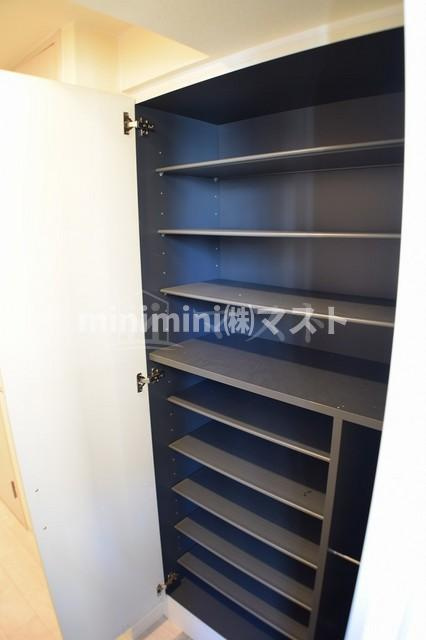 プレサンス難波ヴィータの収納|シューズボックス