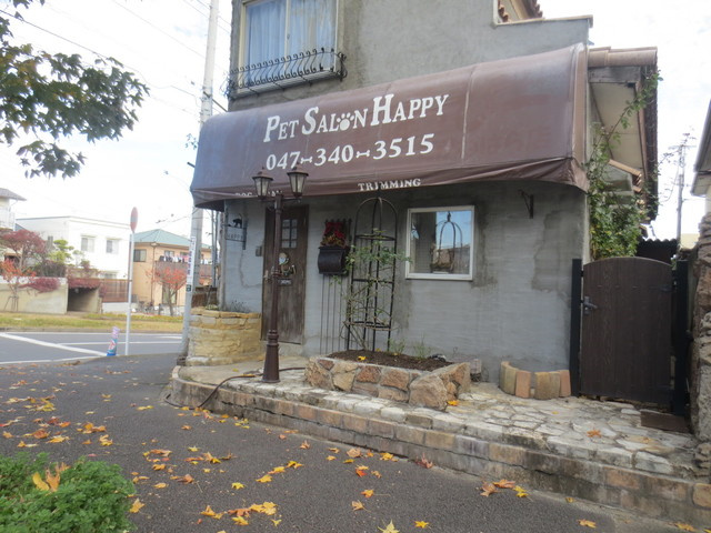 Ｋ　Ｐｉａｔｔｏ　ケイピアットのその他|ペットサロンはっぴー小金原店