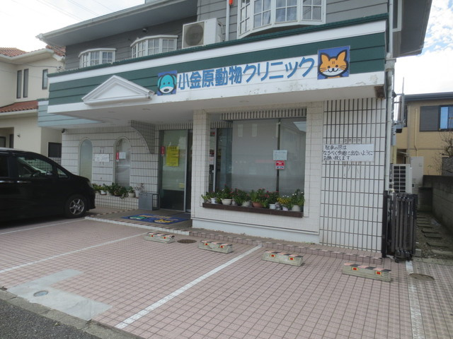 Ｋ　Ｐｉａｔｔｏ　ケイピアットのその他|小金原動物クリニック