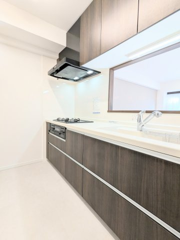 ダイアパレス八広花水木通りトリニティのキッチン|～食器洗浄乾燥機付のキッチン写真～