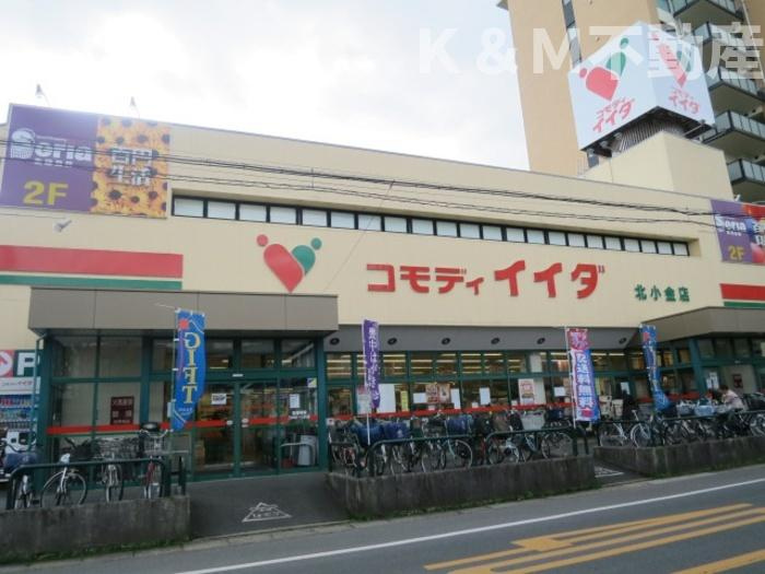 ウィステリアの周辺