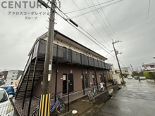 パルテールの画像