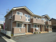 ルネ　ウィンクの画像