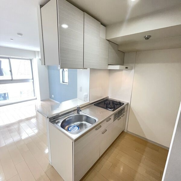 axis sakae Ⅴのキッチン