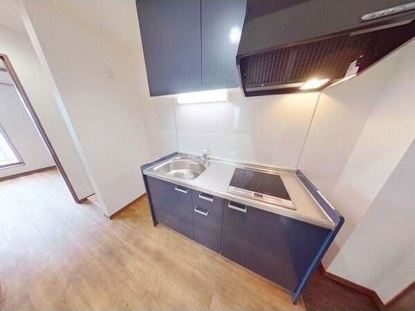 T.Island116のキッチン