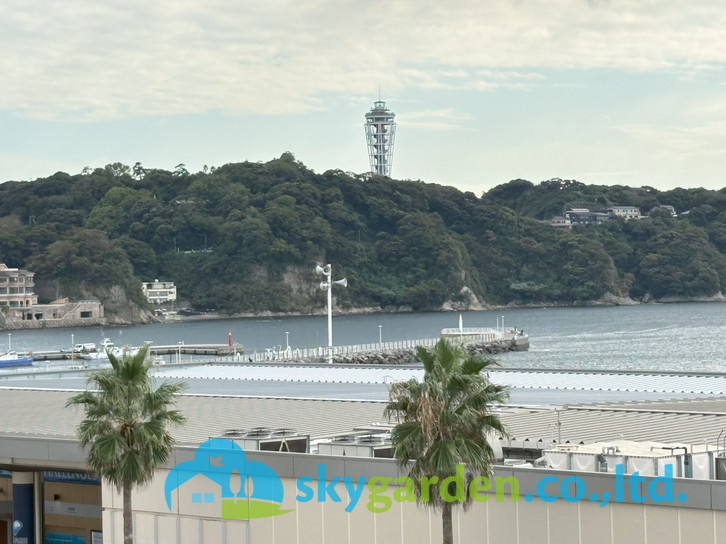 片瀬東映マンションの展望