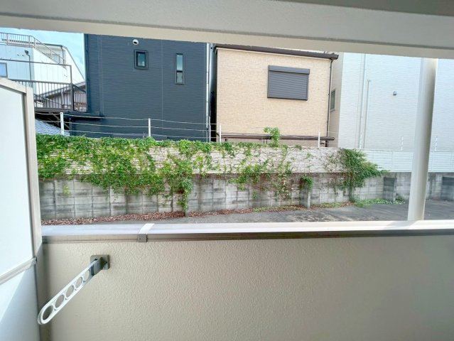 モーブの展望
