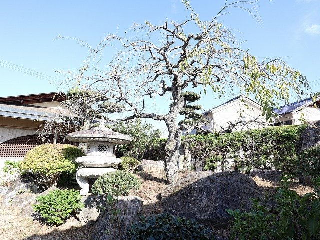 赤磐市馬屋戸建の庭