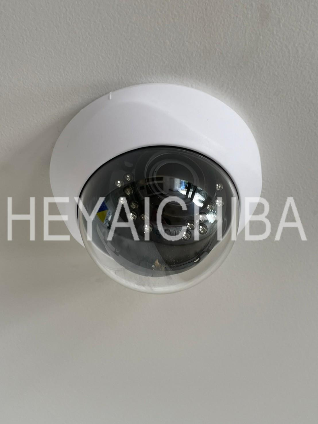 シュールフローレのセキュリティ|防犯カメラ