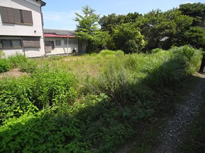 伊東市　宇佐美の外観