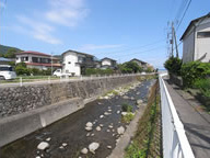 伊東市　宇佐美の周辺