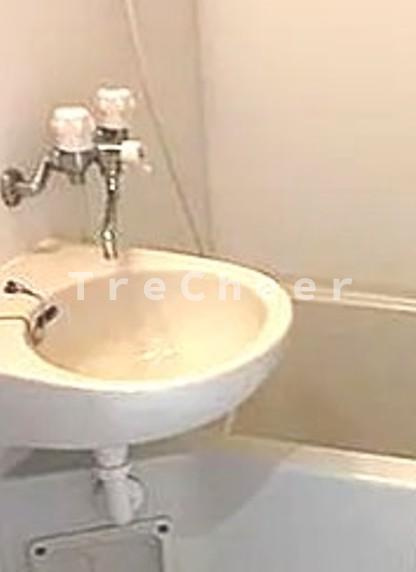 ドルチェ新宿壱番館の洗面所