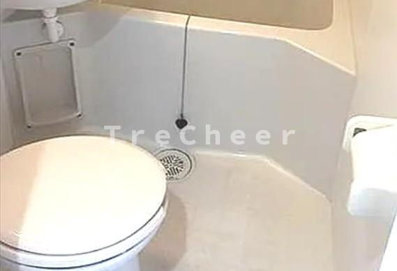 ドルチェ新宿壱番館のトイレ