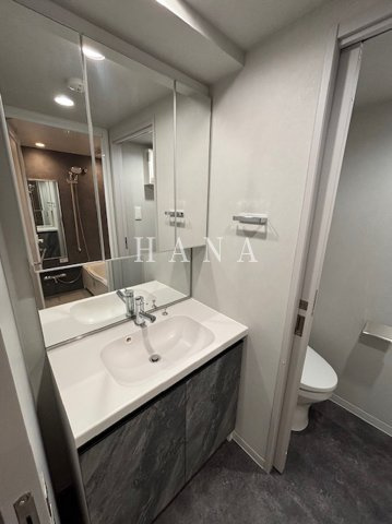 ルミーク北千住の洗面所