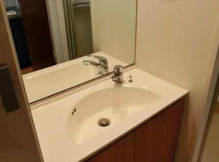 エコロジー白山レジデンスの洗面所