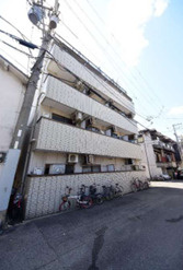 ビクトリー平野