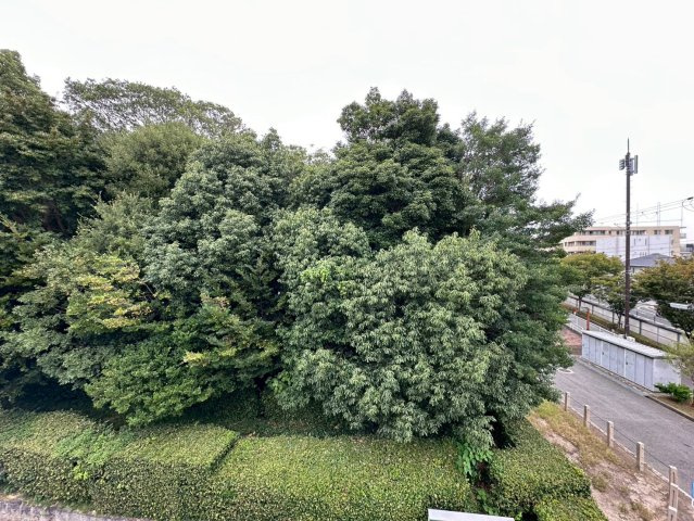 セゾンド芦屋の展望