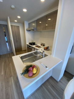 【キッチン】 | プレサンスロジェ堺筋本町 | プレサンスロジェ堺筋本町　カウンターキッチン