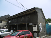 ティアナの画像