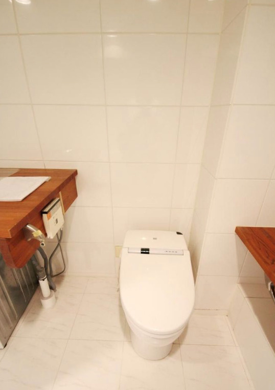 カスタリア銀座のトイレ