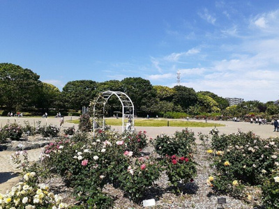 【周辺】 | クベーラＢ | 富士市中央公園まで1000m