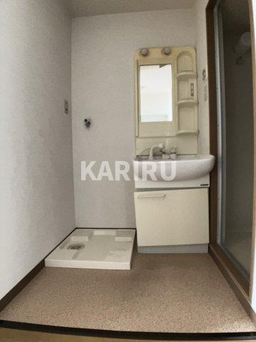 ロイヤルクイーンズパーク関目の洗面所