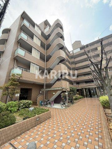 ハーヴィス・カエロン