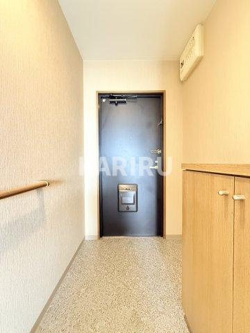 ハーヴィス・カエロンの玄関