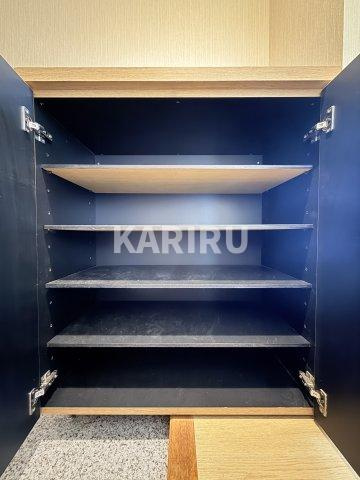 ハーヴィス・カエロンの収納