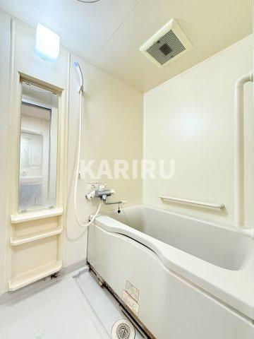 ハーヴィス・カエロンの浴室