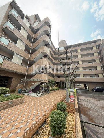 ハーヴィス・カエロンのその他