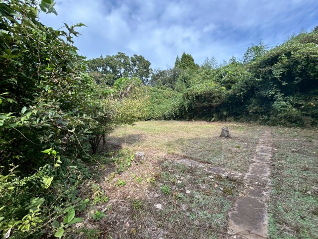 成田市芝　中古戸建の庭