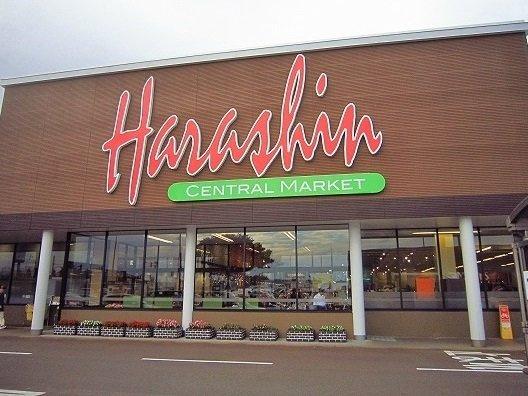 レジデンス　ヒカルの周辺|原信まで910m