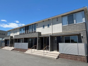 グレーシアの画像