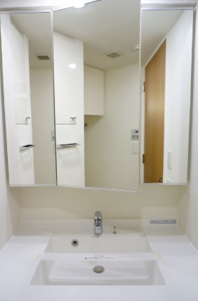 ウィルテラス滝野川の洗面所