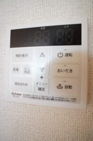 セントポーリアのその他