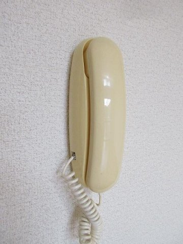 ロ－タスビレジ一番館のセキュリティ