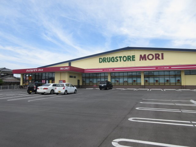 スカイピア　Ⅱの周辺|ドラッグストアモリまで550m