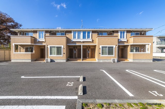 プリムローズ　Ｂ