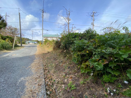 【前面道路含む現地写真】 | 大室高原別荘地　売地