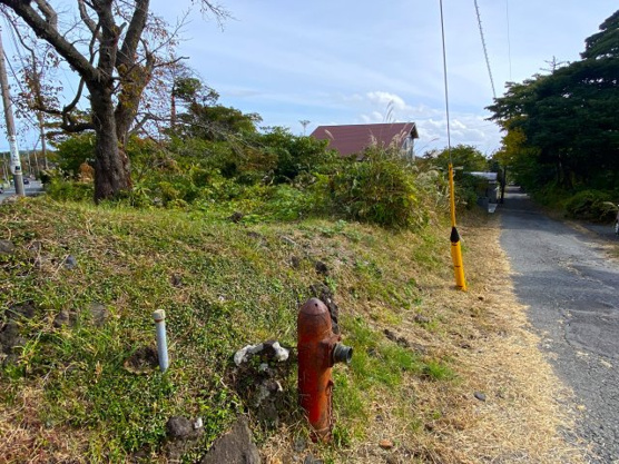 【前面道路含む現地写真】 | 大室高原別荘地　売地