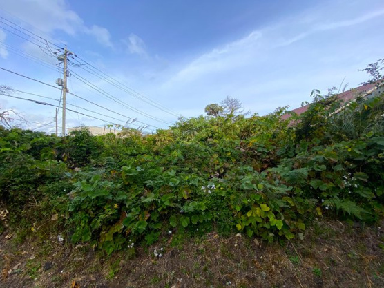 【外観】 | 大室高原別荘地　売地
