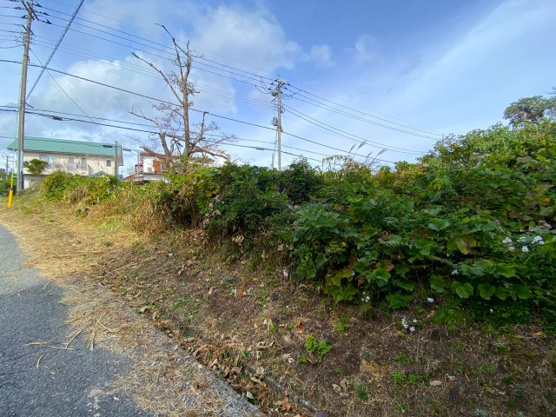 【前面道路含む現地写真】 | 大室高原別荘地　売地