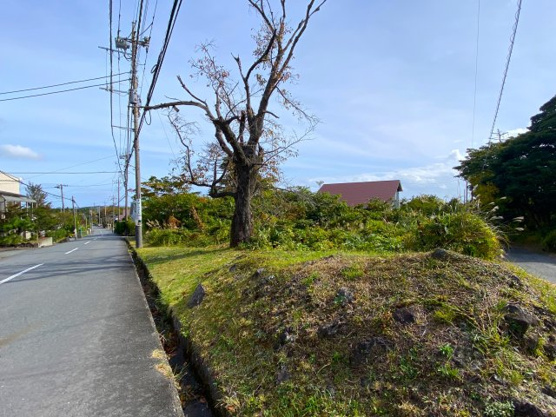 【外観】 | 大室高原別荘地　売地