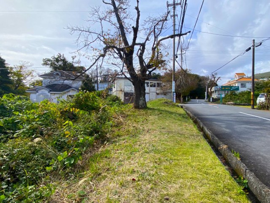 【前面道路含む現地写真】 | 大室高原別荘地　売地