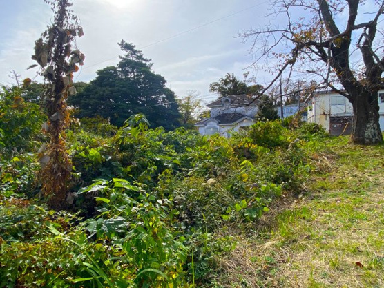 【外観】 | 大室高原別荘地　売地