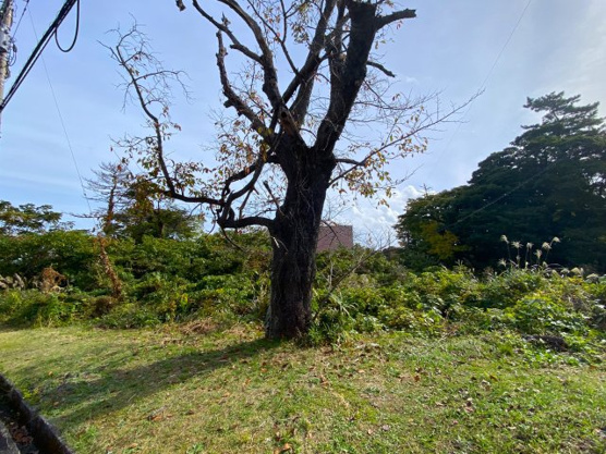 【外観】 | 大室高原別荘地　売地