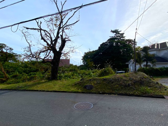 【前面道路含む現地写真】 | 大室高原別荘地　売地