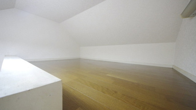 【その他】 | ブルースカイツルセ